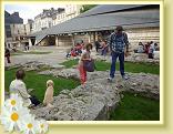 Rouen_DCA (16)